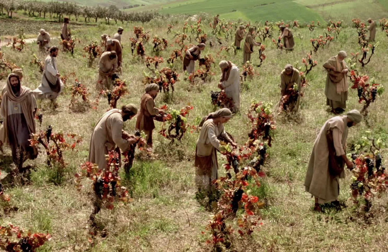 conexiÃÂ³n a Internet