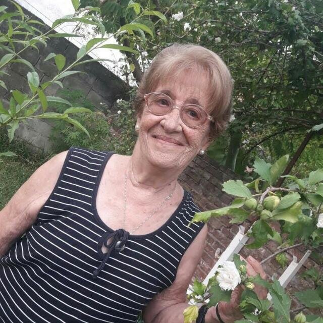 conexiÃÂ³n a Internet