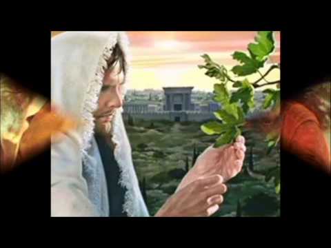 conexiÃÂ³n a Internet