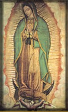 conexiÃÂ³n a Internet