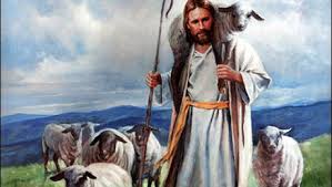 conexiÃÂ³n a Internet